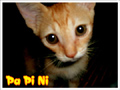 [Avatar]