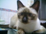 [Avatar]