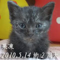 [Avatar]