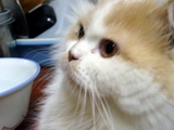 [Avatar]