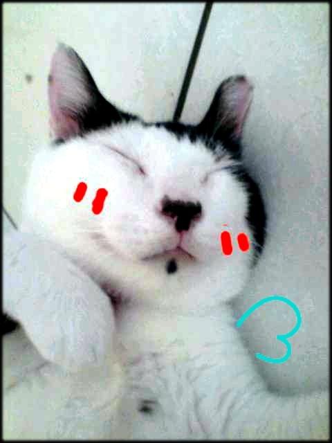 [Avatar]