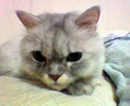 [Avatar]
