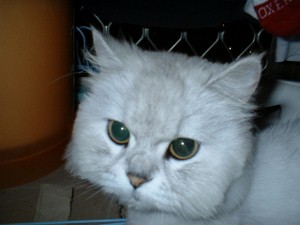 [Avatar]
